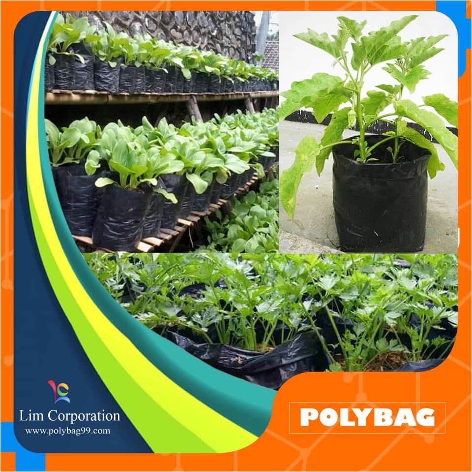 Plastik Polybag Semai Bibit