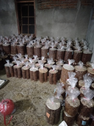Gula Merah Kelapa