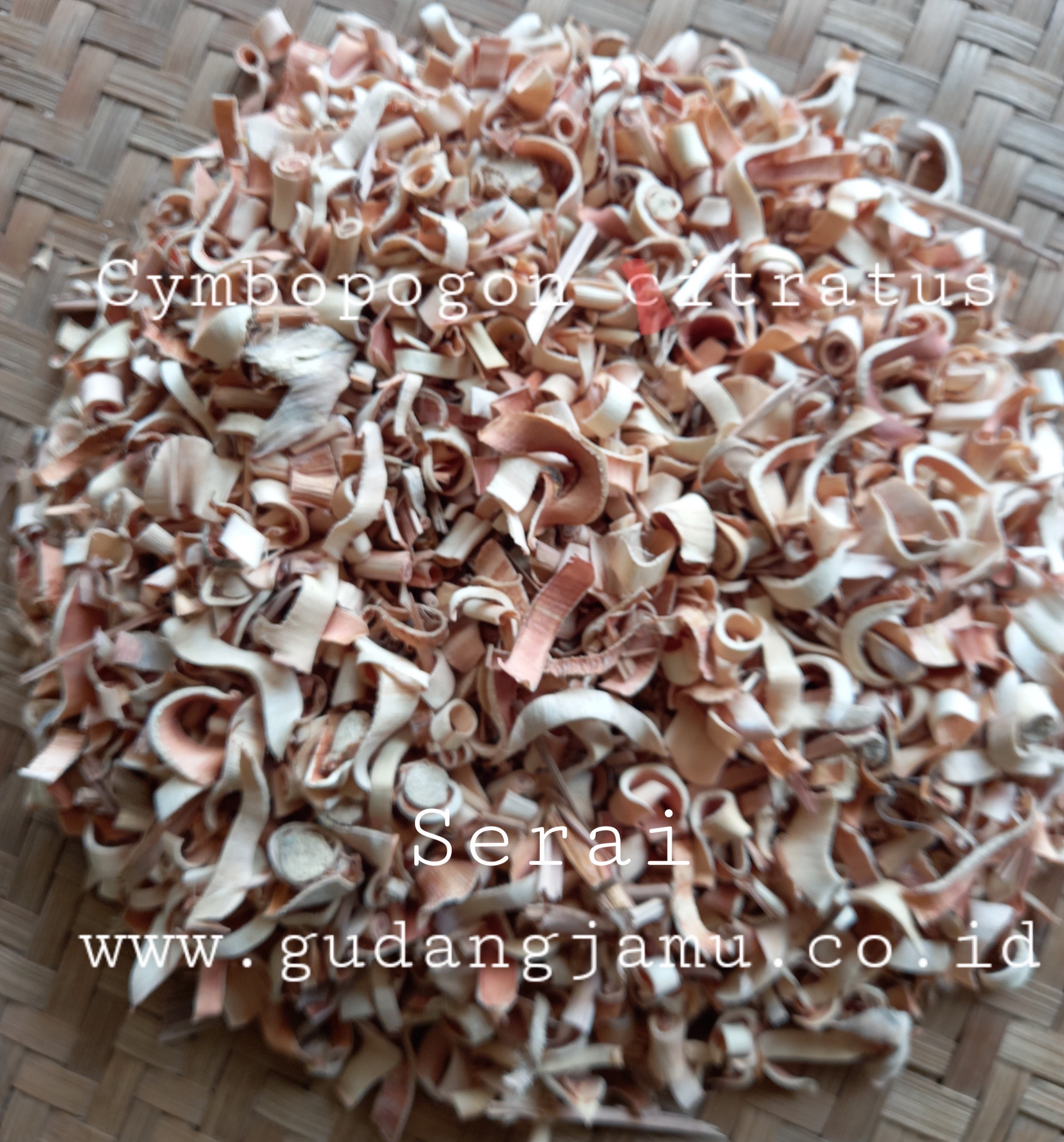SERAI CYMBOPOGON NARDUS