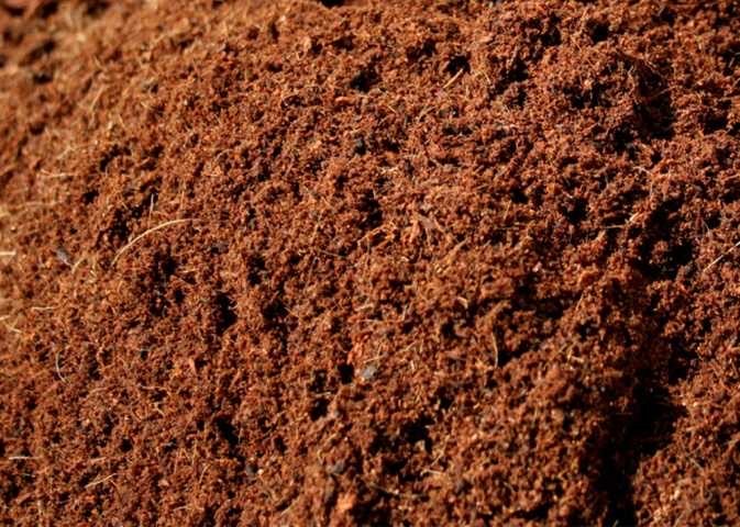 JUAL COCOPEAT & SERBUK KAYU MURAH BERKUALITAS PT.AGA-GRESIK