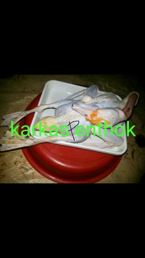 karkas entok