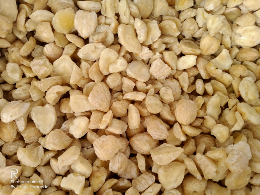 Kemiri Pecah (Candlenut)