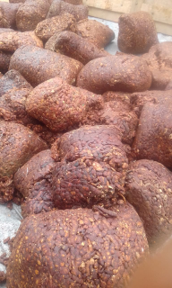 Asam Biji