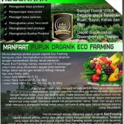 pupuk organik eco farming