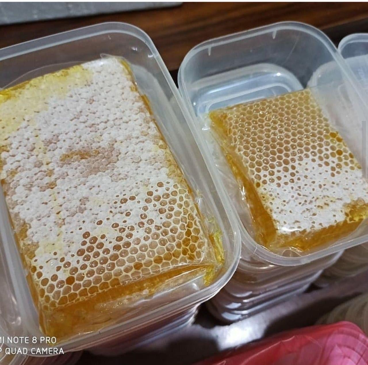 Madu Sarang 500 gram