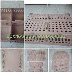 kardus DOC/DOD/DOQ