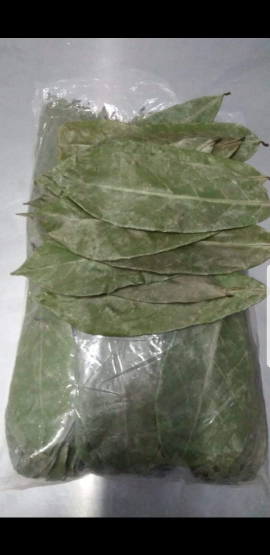 Daun Sirsak Kering
