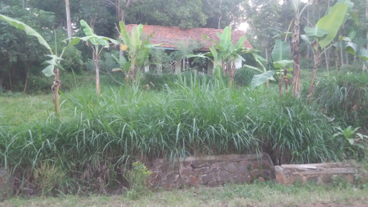 tanah pinggir jln alternatif