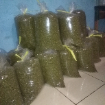 jual kacang hijau