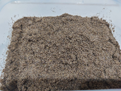 Tepung Jangkrik / Cricket Flour