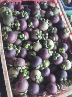 menjual manggis asal purwakarta, kualitas sedang, warna masih kemerah-merahan/beubeu.