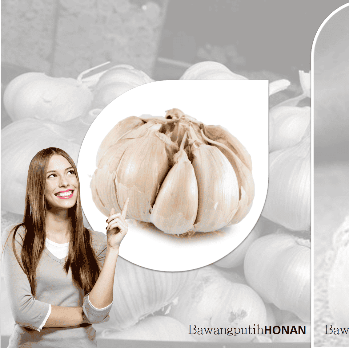 BAWANG PUTIH HONAN