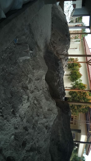 Jual Pakan Ternak