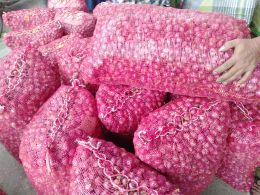 sayur sayuran
