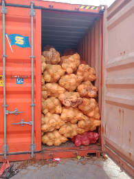 kelapa kupas Sulawesi tengah