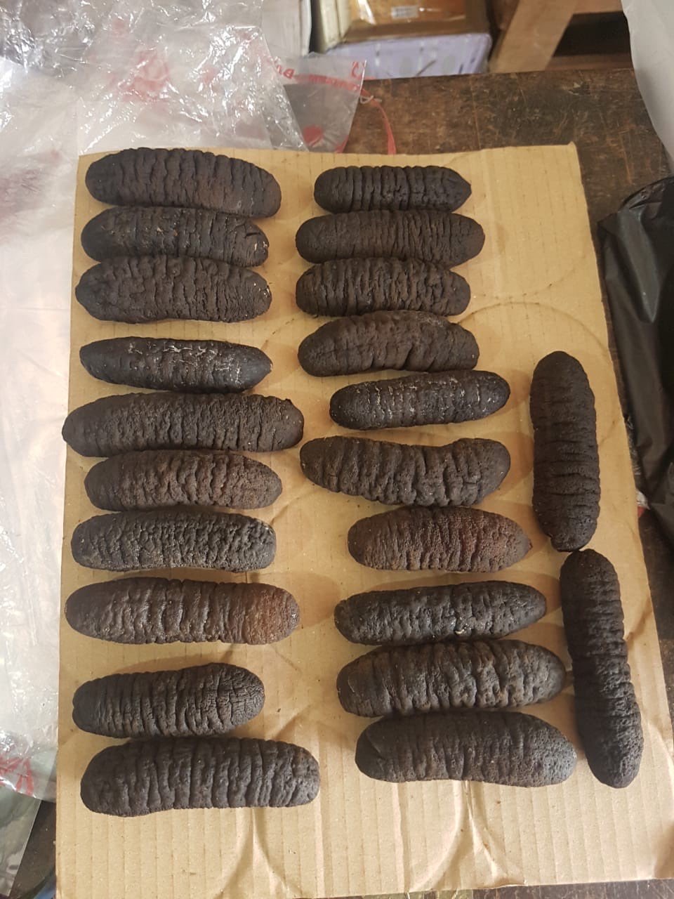 jual berbagai macam tripang laut/haisom