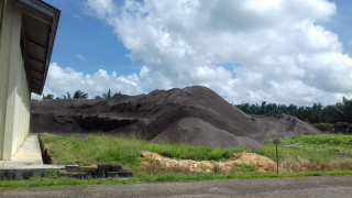 cangkang sawit