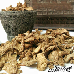 Jual Temu Kunci Basah / Kering
