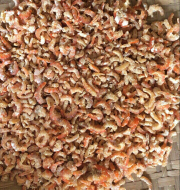 Udang Kering Ebi