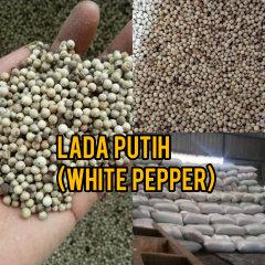 Lada Putih (White Pepper)