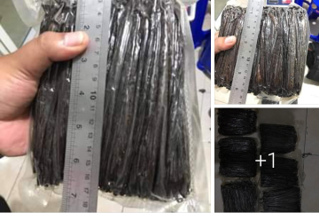Ready stock vanili Tahiti asli papua