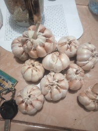 jual bawang putih dan gula merah