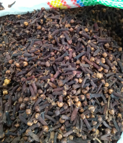 Cengkeh (Clove)