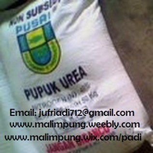 PUPUK UREA NON SUBSIDI (Makassar)