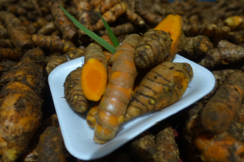 siap supply rempah kunyit, kencur, jahe, lengkuas, temulawak, temukunci