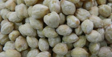 kemiri kupas