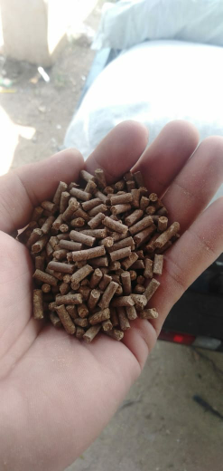 pelet ikan