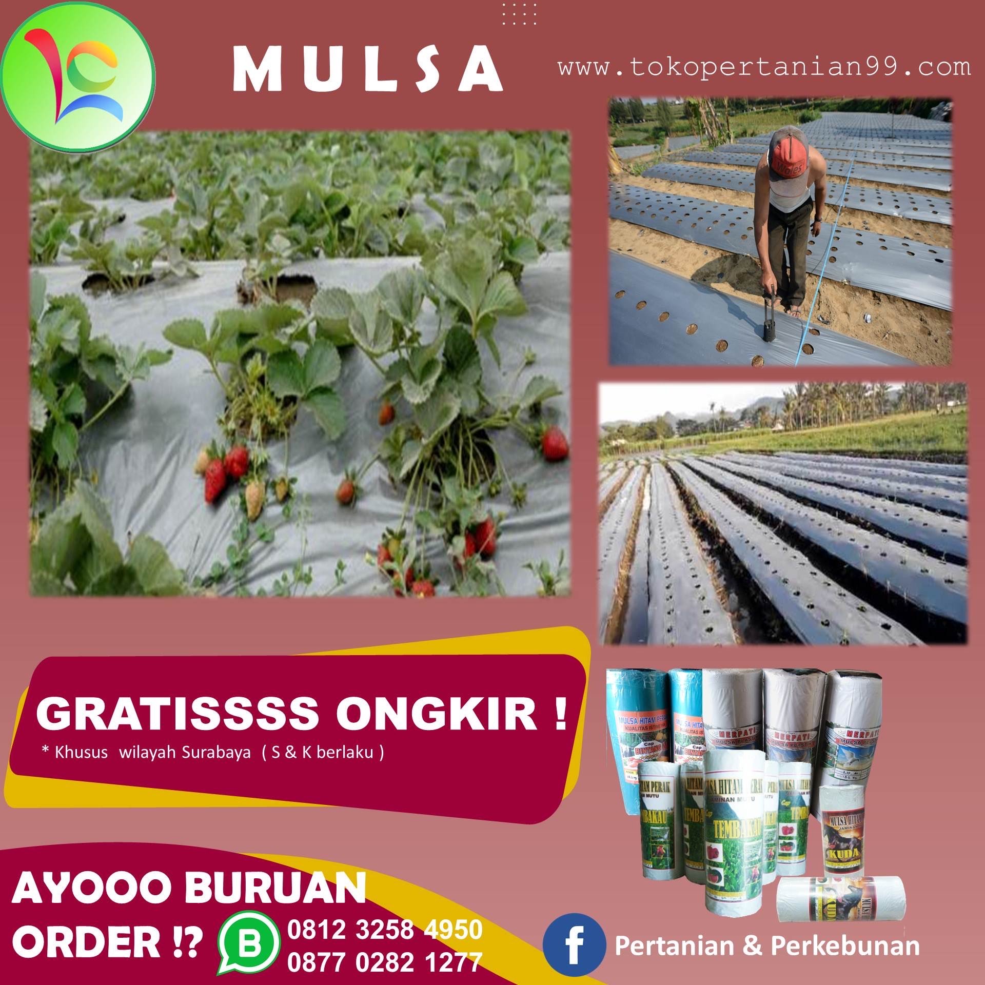 Pabrik Plastik Mulsa di Surabaya