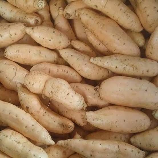 UBI Madu