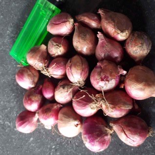 Bawang merah kualitas baik sesuai permintaan