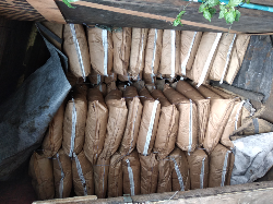 karbon aktif arang batok kelapa.