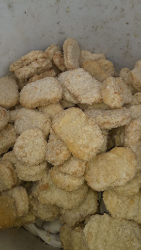 Pakan ternak sosis BS, Daging giling, Nugget bs, Sarden dll