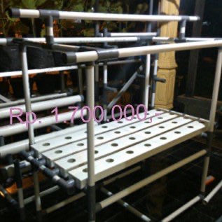 HIdroponik Berkebun Modern