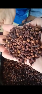 Ready stock cengkeh lalpari Ambon 23 pebuari 2021