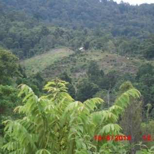 Jual Murah Tanah Produktive