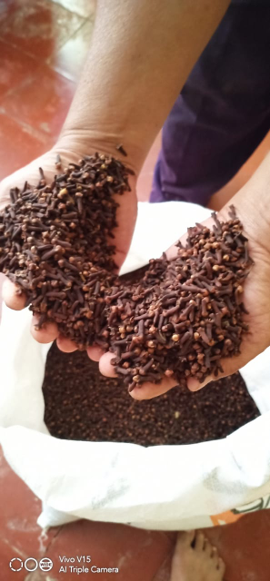 jual cengkeh kering