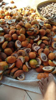 Biji Pinang Kering