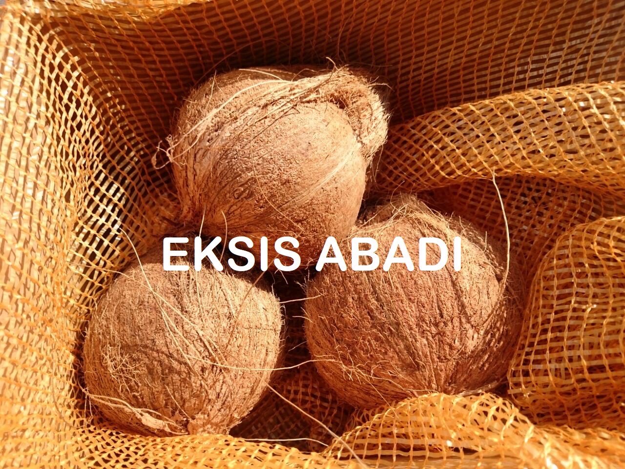 Kelapa Tua ABC