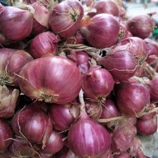 bawang merah