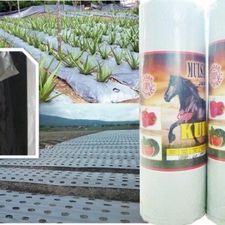 Mulsa Plastik 15 - 18kg Flores 