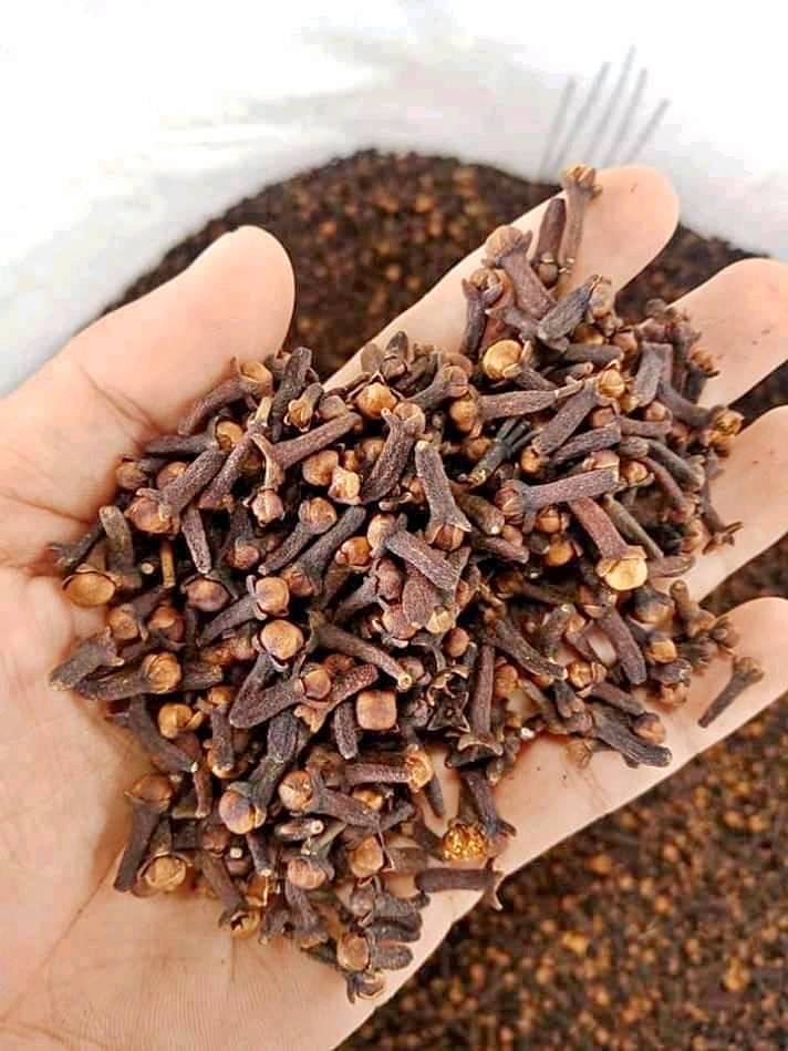 Cloves (Cengkeh)