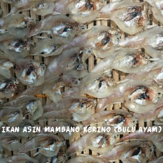 ikan asin kering mambang bulu ayam tanpa pengawet