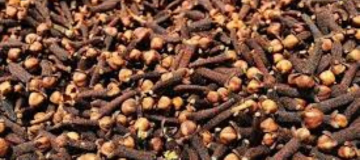 jual Cengkeh kering