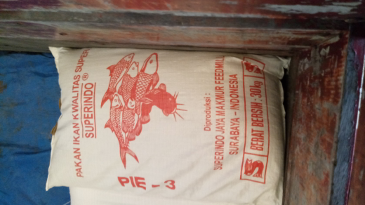 pakan ikan superindo