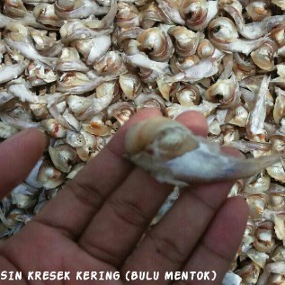 Jual ikan asin kresek kering bulu mentok tanpa bahan pengawet termurah