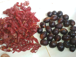BUAH PALA HITAM / PALA A-B